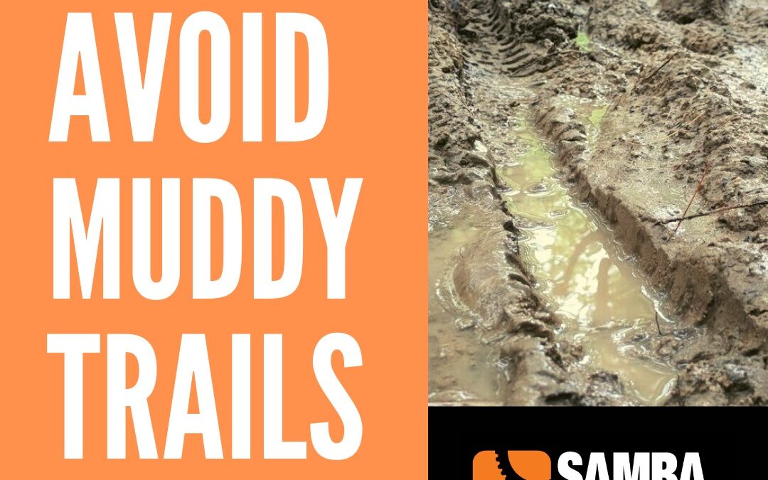 Avoid Muddy Trails